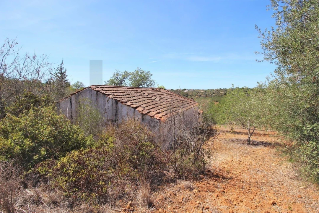 Terreno para Venda em Silves Foto 8
