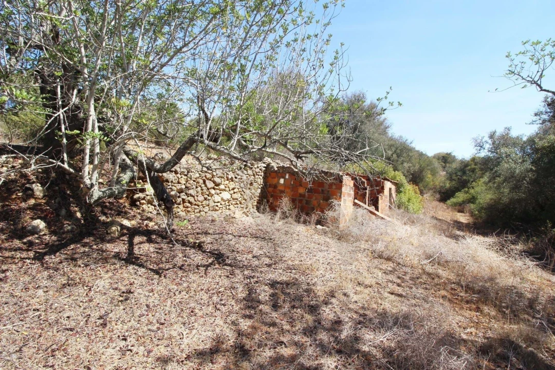 Terreno para Venda em Silves Foto 5