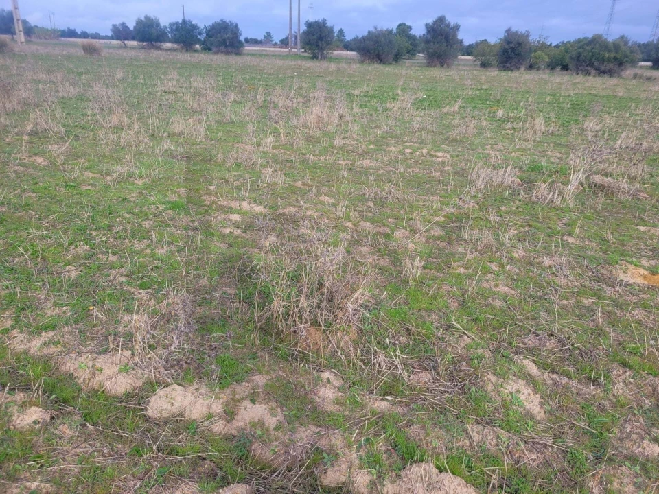 Terreno para Venda em São Silvestre Foto 3