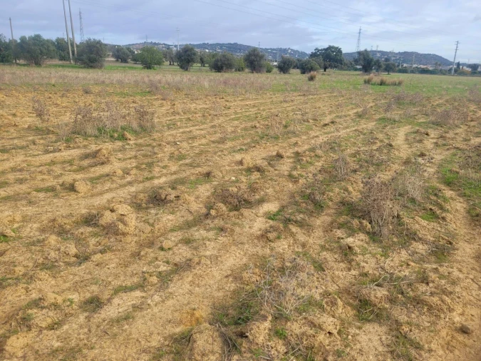 Terreno para Venda em São Silvestre Foto 5
