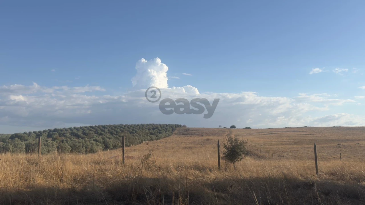 Terreno Agricola ou Rústico para Venda em Castro Verde e Casével Foto 6