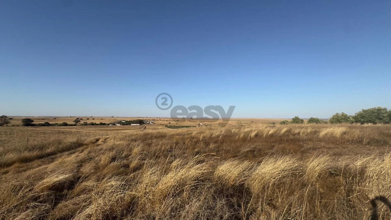 Terreno Agricola ou Rústico para Venda em Castro Verde e Casével Foto 8
