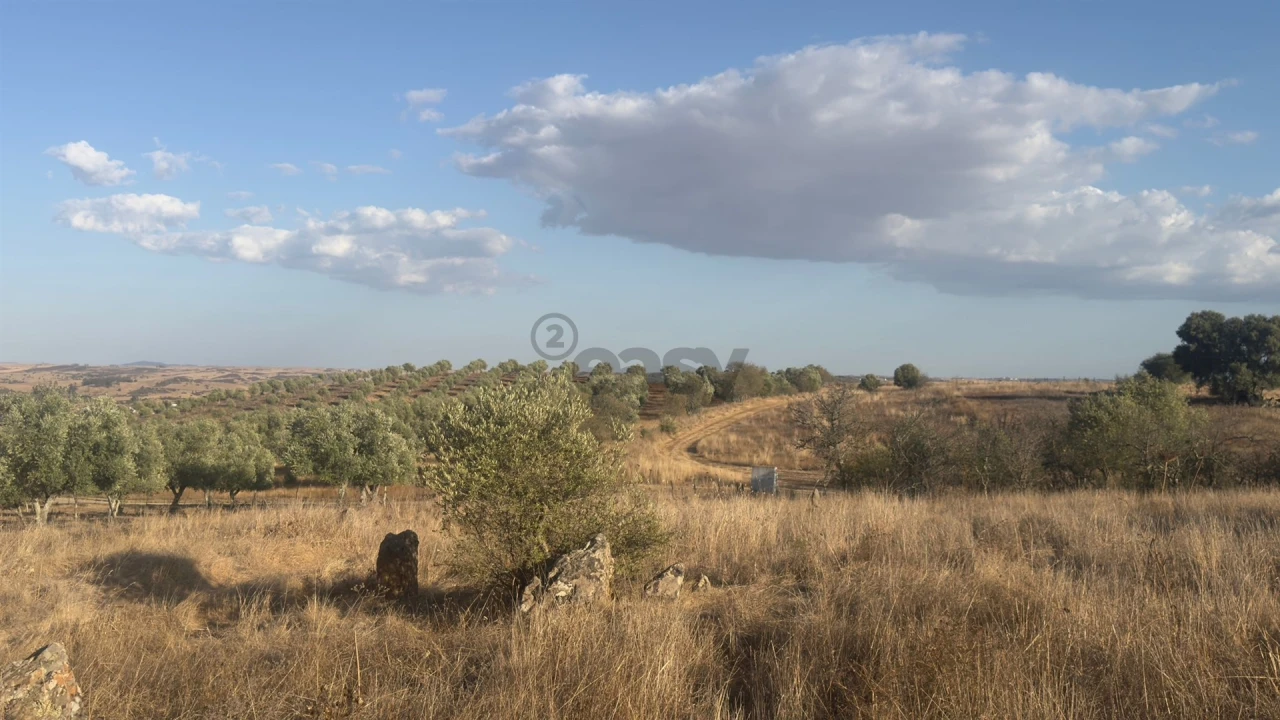 Terreno Agricola ou Rústico para Venda em Castro Verde e Casével Foto 22