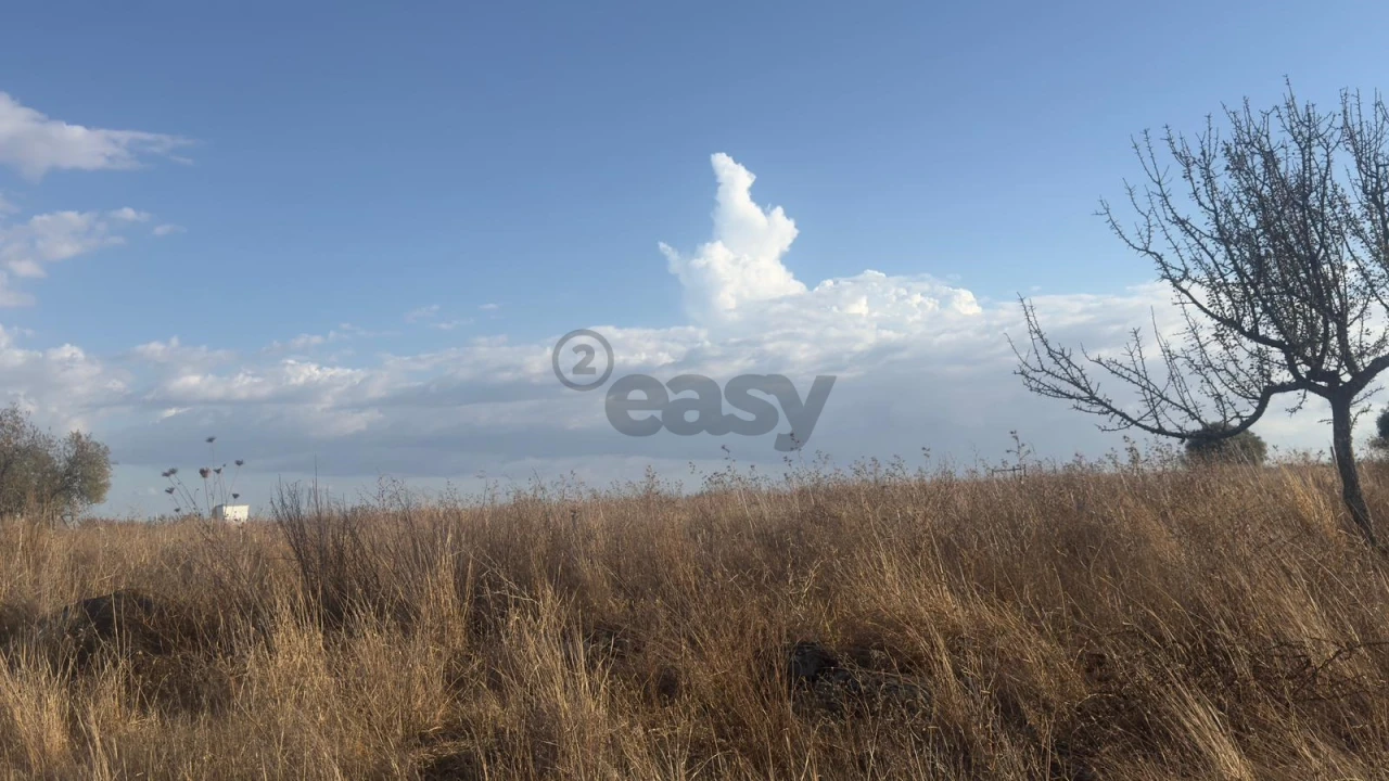 Terreno Agricola ou Rústico para Venda em Castro Verde e Casével Foto 11