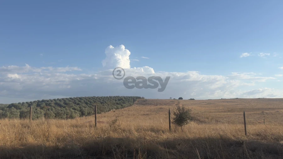 Terreno Agricola ou Rústico para Venda em Castro Verde e Casével Foto 6