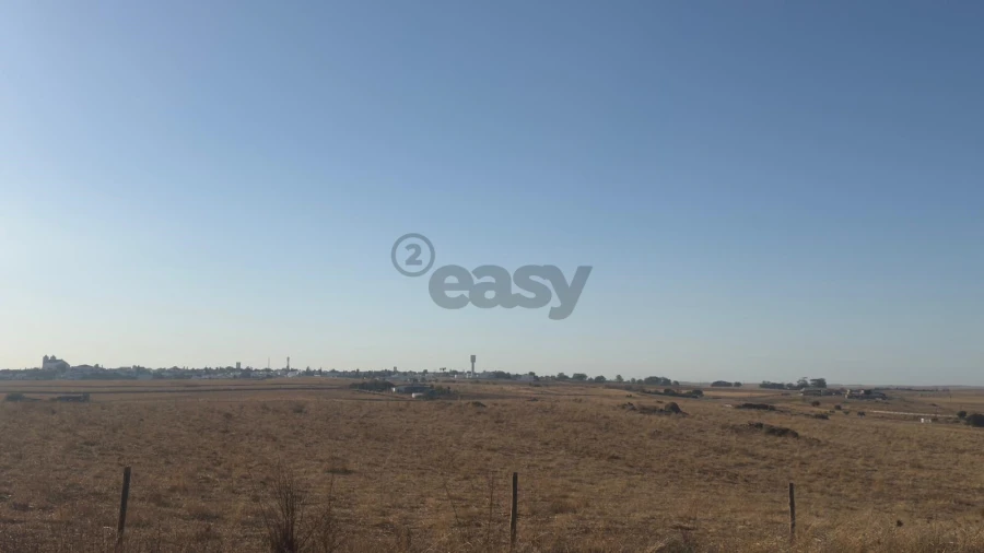 Terreno Agricola ou Rústico para Venda em Castro Verde e Casével Foto 9