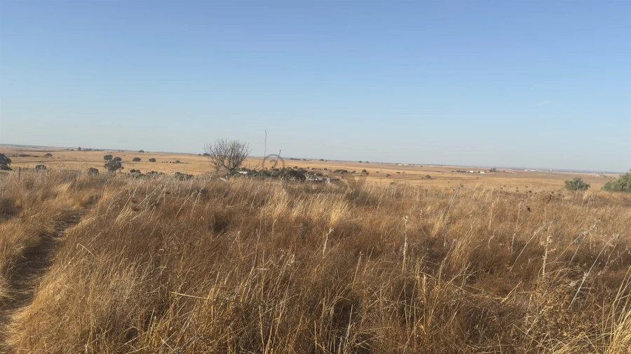 Terreno Agricola ou Rústico para Venda em Castro Verde e Casével Foto 14