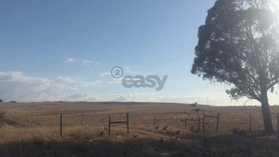 Terreno Agricola ou Rústico para Venda em Castro Verde e Casével Foto 1