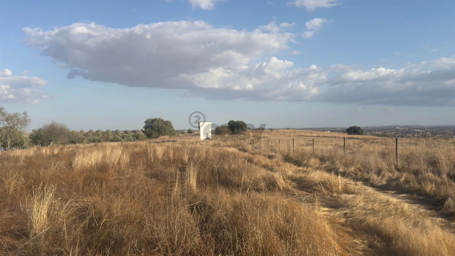 Terreno Agricola ou Rústico para Venda em Castro Verde e Casével Foto 12