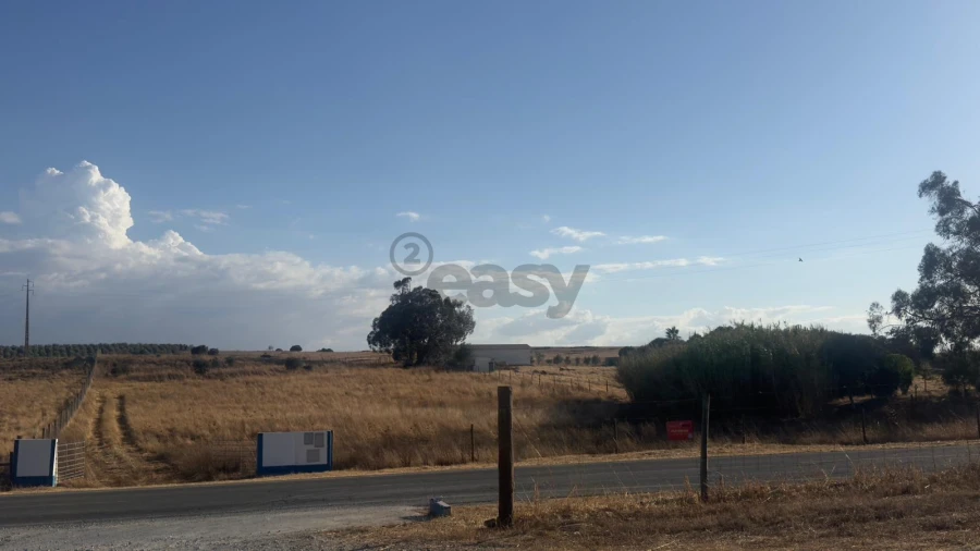 Terreno Agricola ou Rústico para Venda em Castro Verde e Casével Foto 2