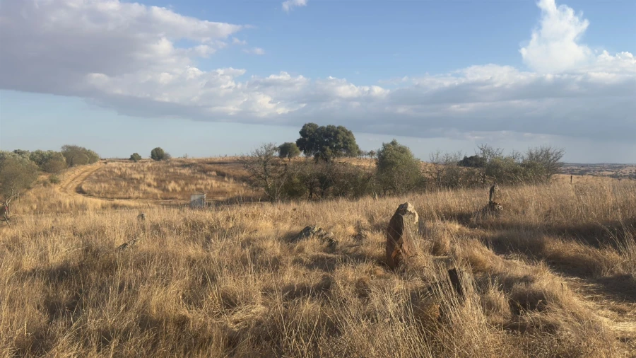 Terreno Agricola ou Rústico para Venda em Castro Verde e Casével Foto 19