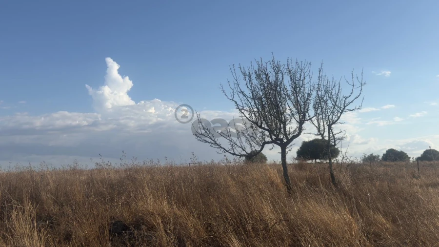 Terreno Agricola ou Rústico para Venda em Castro Verde e Casével Foto 10