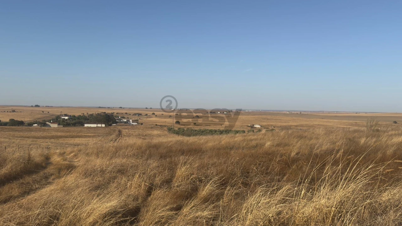 Terreno Agricola ou Rústico para Venda em Castro Verde e Casével Foto 7