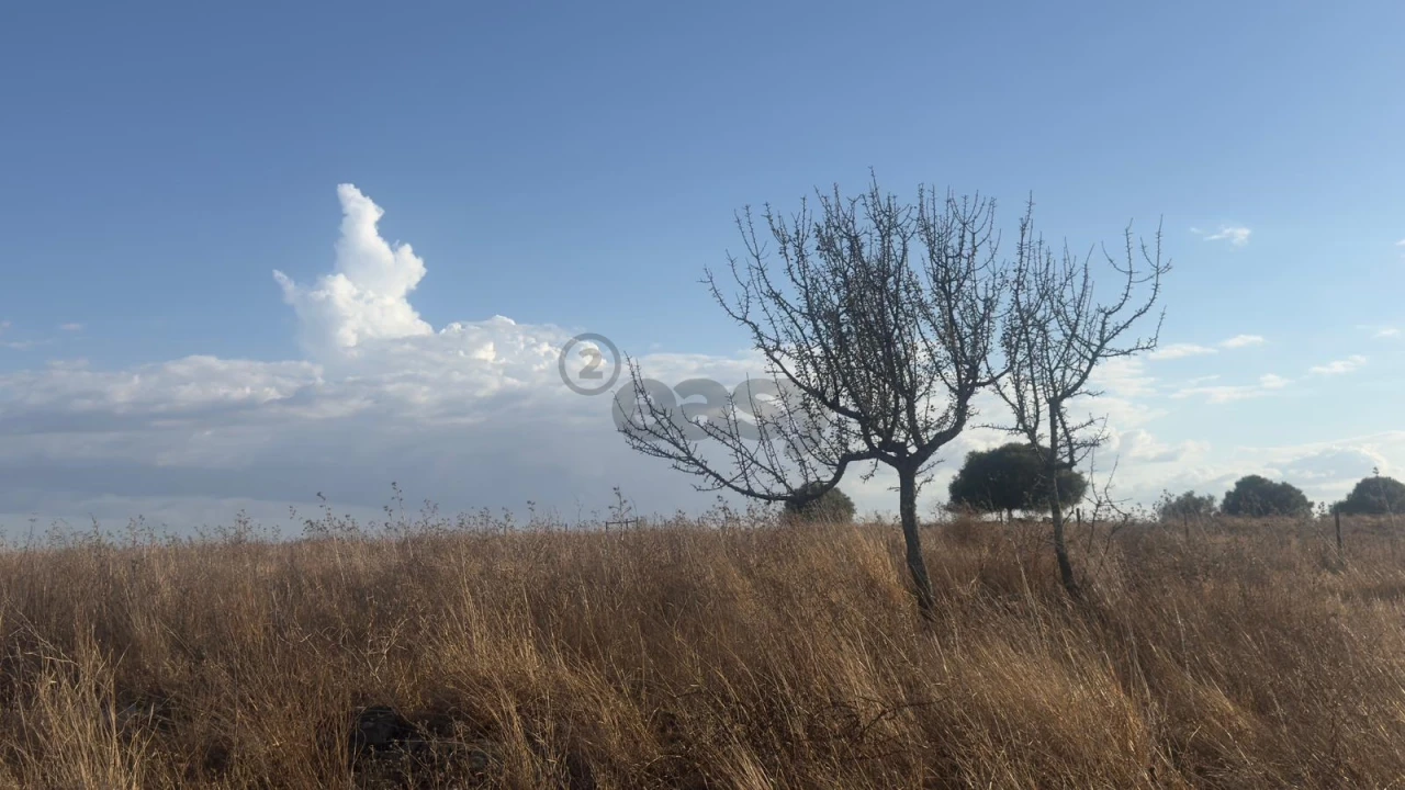 Terreno Agricola ou Rústico para Venda em Castro Verde e Casével Foto 10