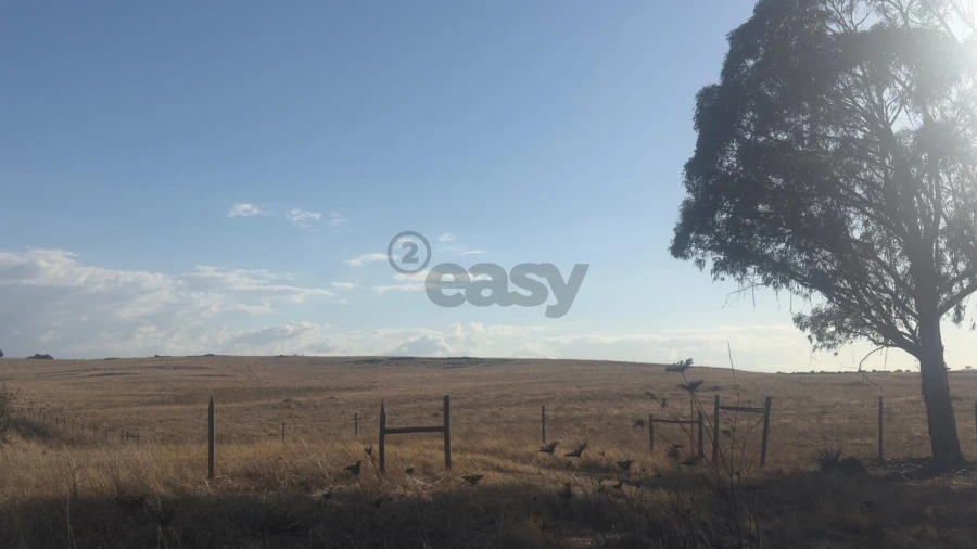Terreno Agricola ou Rústico para Venda em Castro Verde e Casével