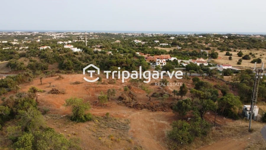 Terreno Agricola ou Rústico para Venda em Boliqueime Foto 10