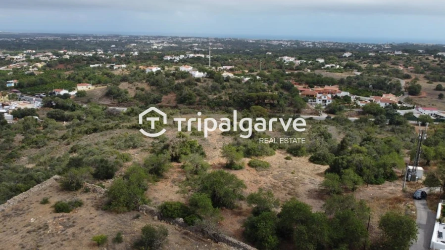 Terreno Agricola ou Rústico para Venda em Boliqueime Foto 6