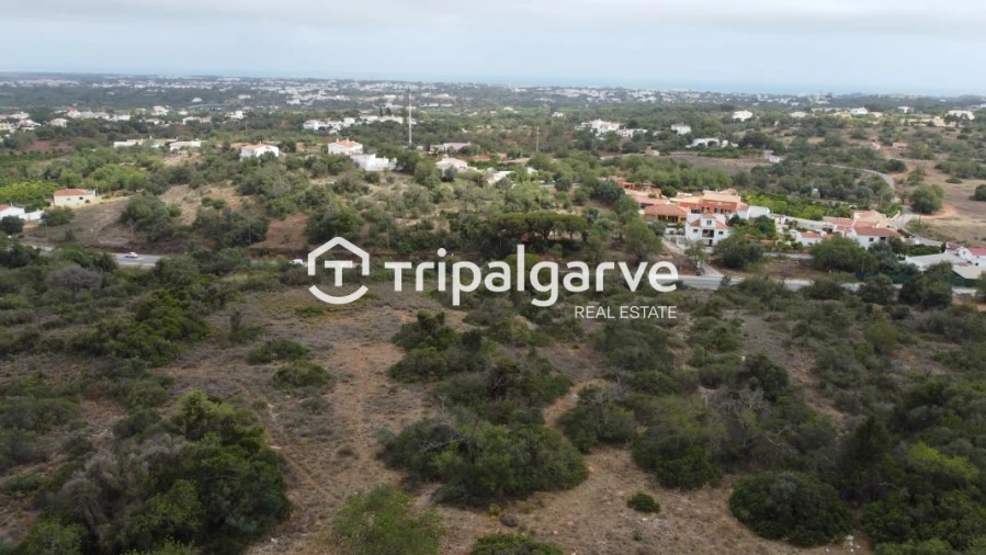 Terreno Agricola ou Rústico para Venda em Boliqueime Foto 5