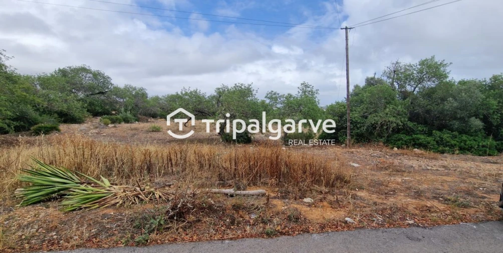 Terreno Agricola ou Rústico para Venda em Boliqueime Foto 4