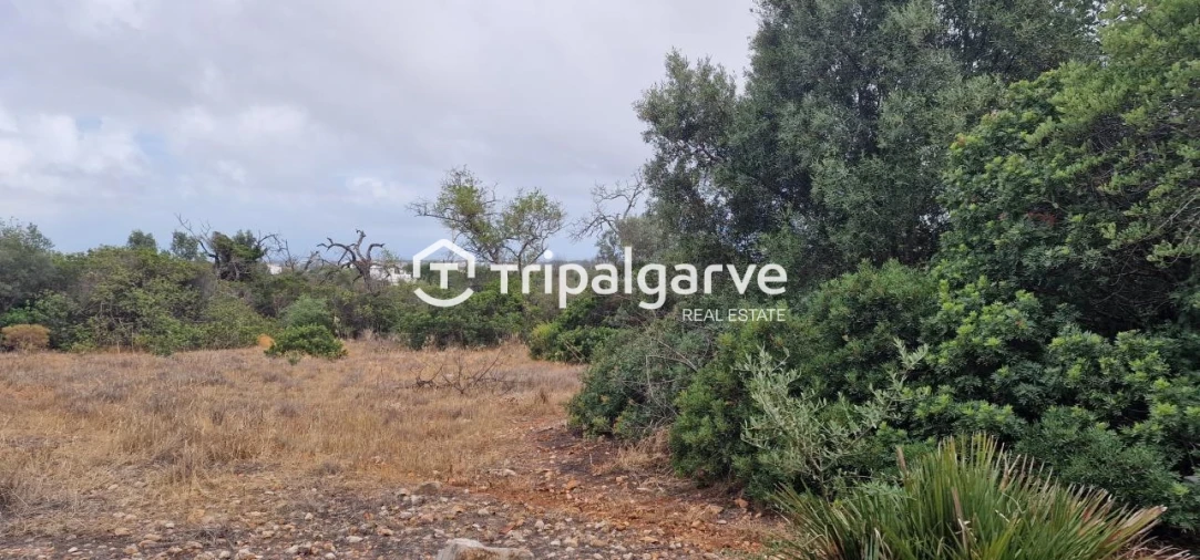 Terreno Agricola ou Rústico para Venda em Boliqueime Foto 3
