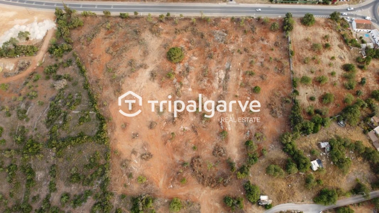 Terreno Agricola ou Rústico para Venda em Boliqueime Foto 9