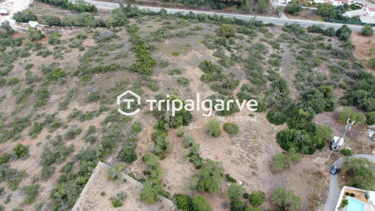 Terreno Agricola ou Rústico para Venda em Boliqueime Foto 8