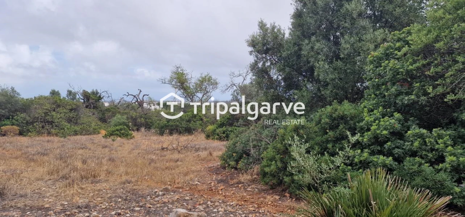 Terreno Agricola ou Rústico para Venda em Boliqueime Foto 3