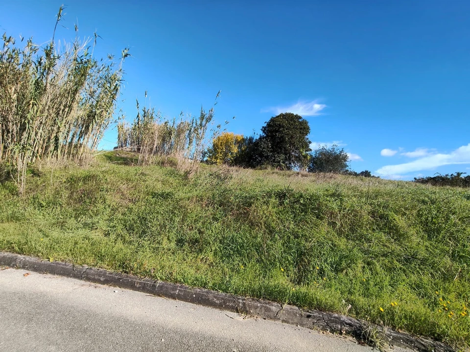 Terreno para Venda em Marrazes e Barosa Foto 5