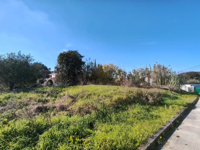 Terreno para Venda em Marrazes e Barosa Foto 3