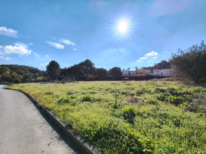 Terreno para Venda em Marrazes e Barosa Foto 6