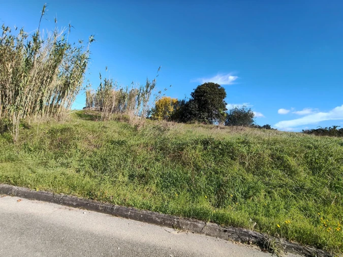 Terreno para Venda em Marrazes e Barosa Foto 5