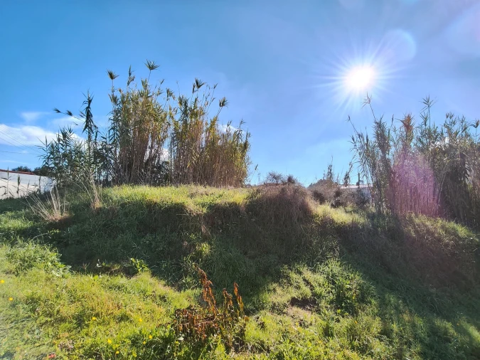 Terreno para Venda em Marrazes e Barosa Foto 4