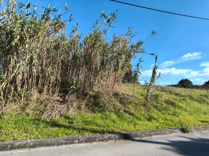 Terreno para Venda em Marrazes e Barosa Foto 2