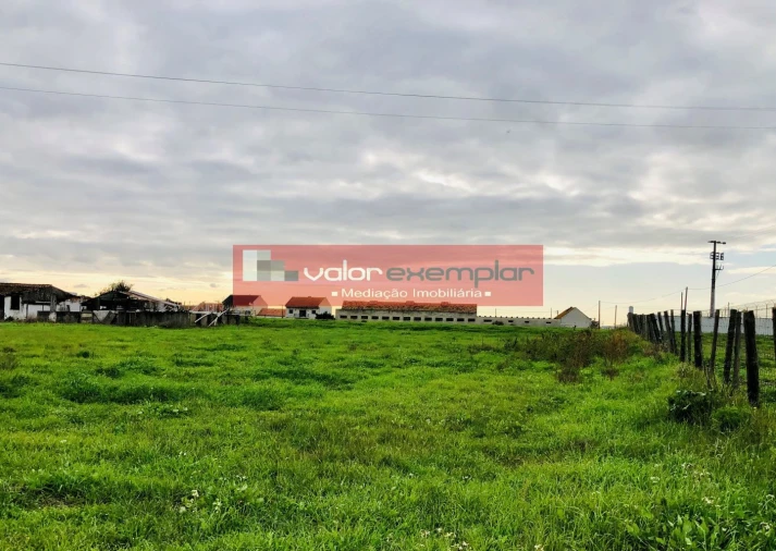 Terreno para Venda em Sarilhos Grandes Foto 10