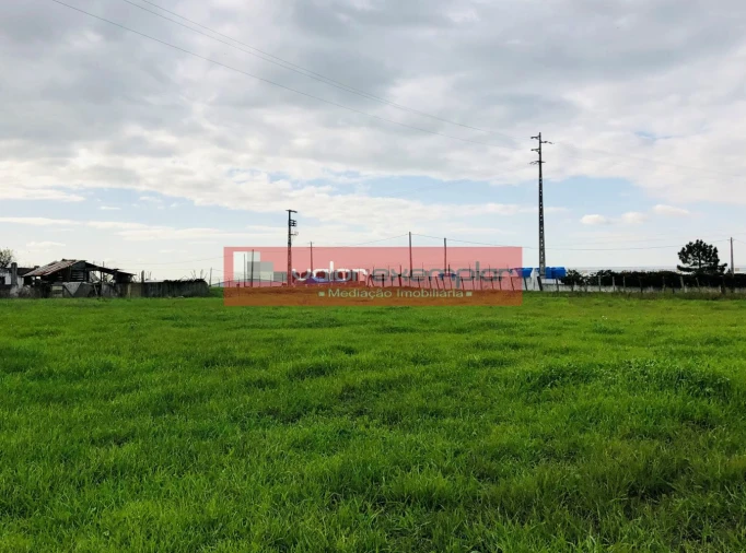 Terreno para Venda em Sarilhos Grandes Foto 8