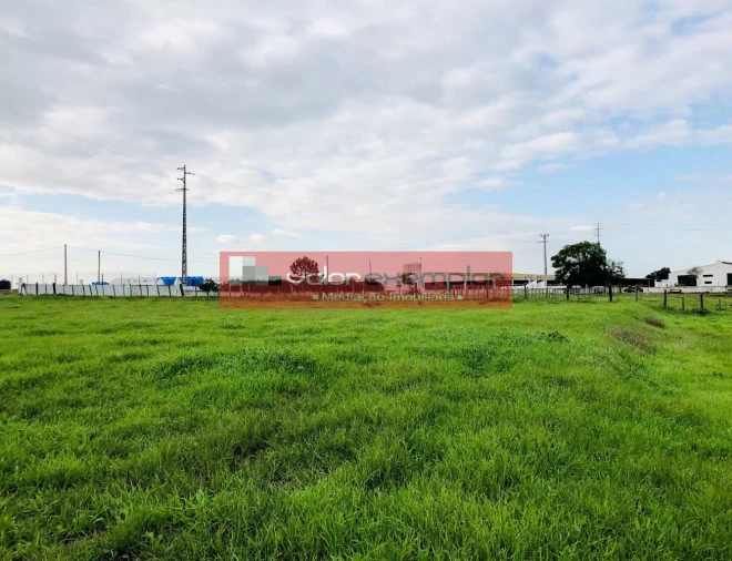 Terreno para Venda em Sarilhos Grandes Foto 9