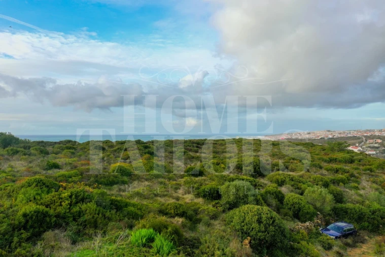Terreno Misto para Venda em Carvoeira Foto 15
