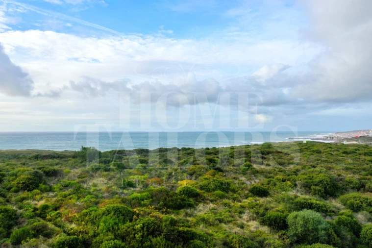 Terreno Misto para Venda em Carvoeira Foto 12