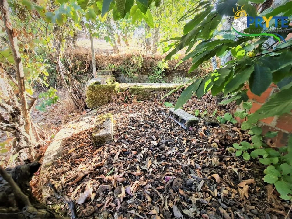 Quinta para Venda em Cabeçudo Foto 2
