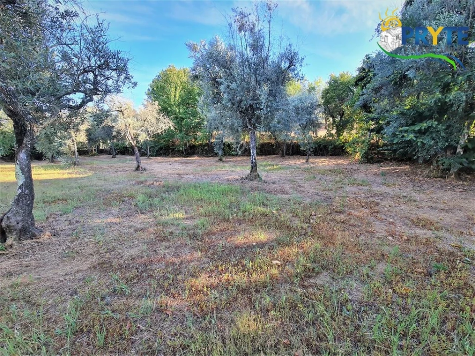 Quinta para Venda em Cabeçudo Foto 4