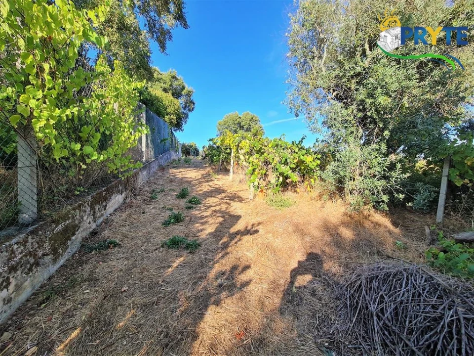 Quinta para Venda em Cabeçudo Foto 11