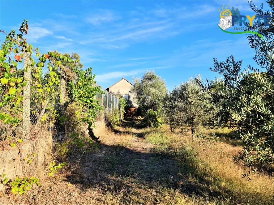 Quinta para Venda em Cabeçudo Foto 23