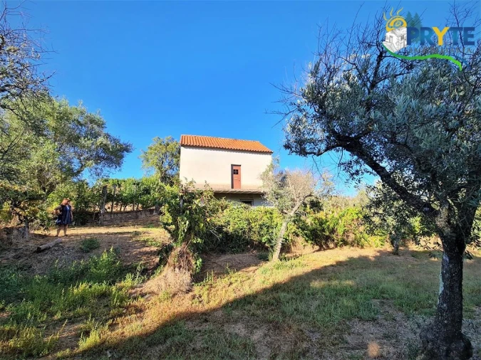 Quinta para Venda em Cabeçudo Foto 3