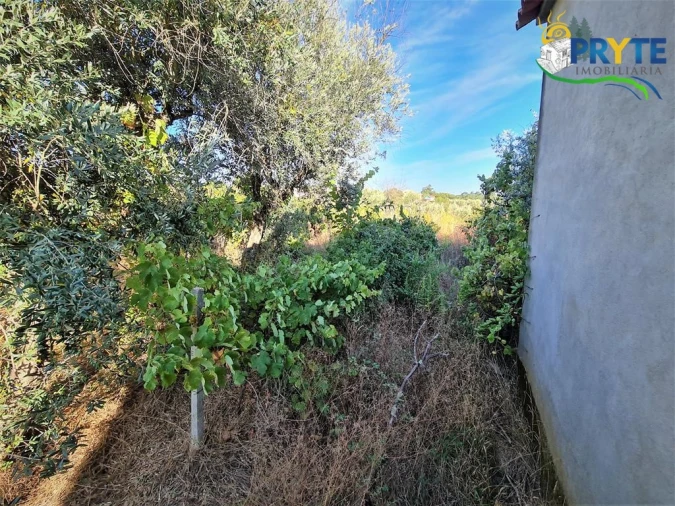 Quinta para Venda em Cabeçudo Foto 13