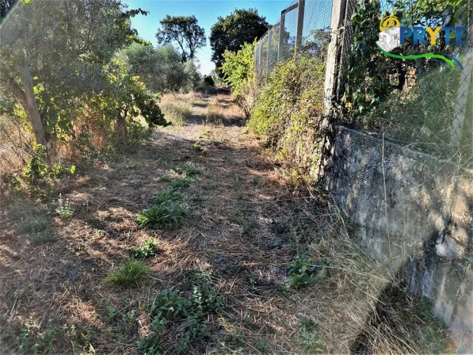 Quinta para Venda em Cabeçudo Foto 26