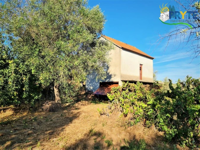 Quinta para Venda em Cabeçudo Foto 27