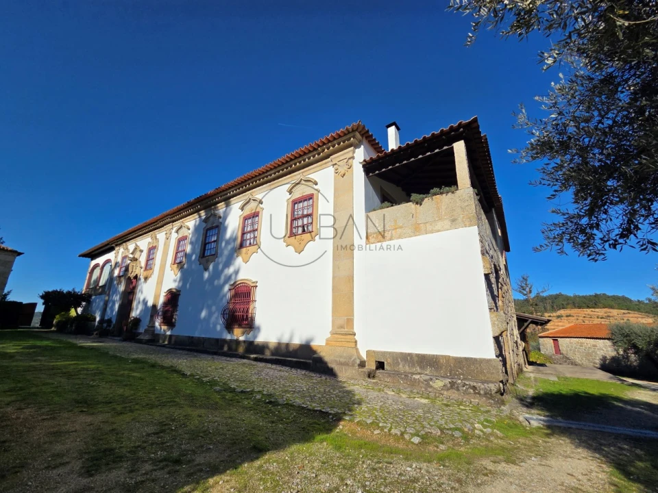 Quinta T21 para Venda em Mangualde, Mesquitela e Cunha Alta Foto 3