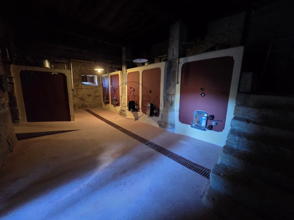 Quinta T21 para Venda em Mangualde, Mesquitela e Cunha Alta Foto 12