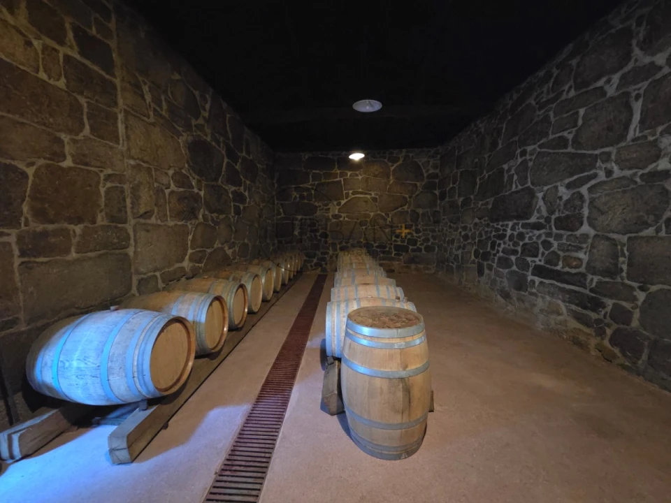 Quinta T21 para Venda em Mangualde, Mesquitela e Cunha Alta Foto 14