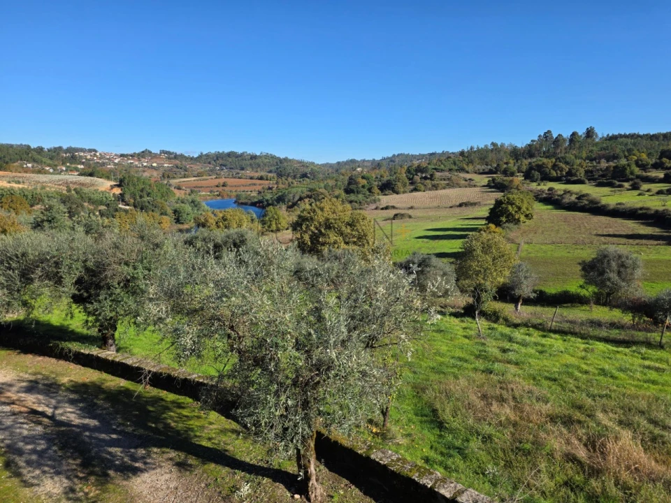 Quinta T21 para Venda em Mangualde, Mesquitela e Cunha Alta Foto 21